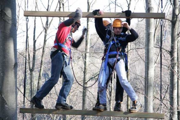 Outdoor Giant Ladder - 