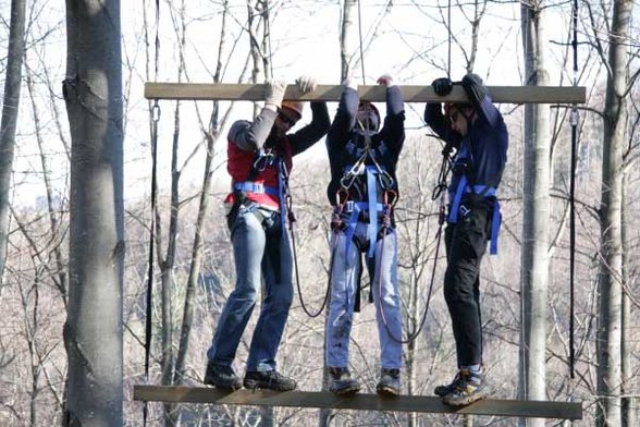 Outdoor Giant Ladder - 