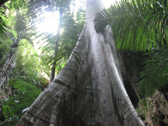 railay beach - 