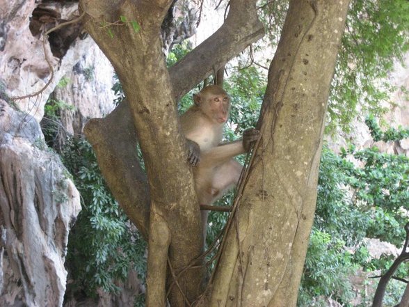 railay beach - 