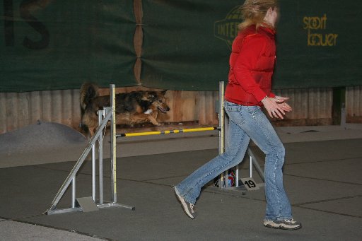 Agility Niki und Lilli - 