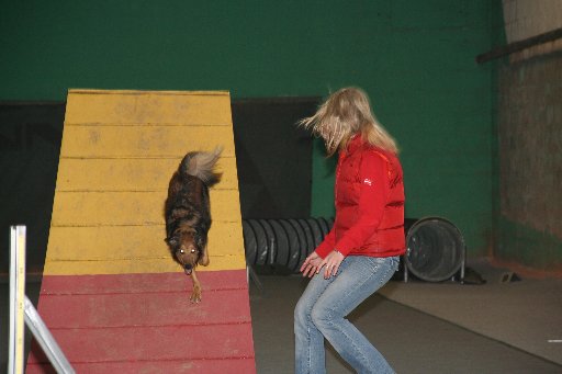 Agility Niki und Lilli - 