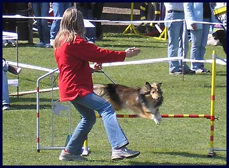 Agility Niki und Lilli - 