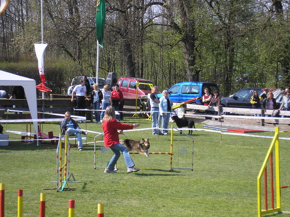 Agility Niki und Lilli - 