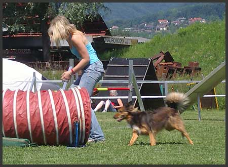 Agility Niki und Lilli - 