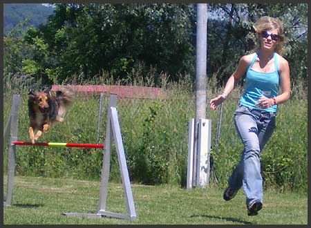 Agility Niki und Lilli - 