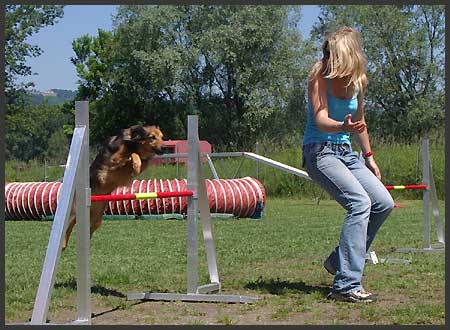 Agility Niki und Lilli - 