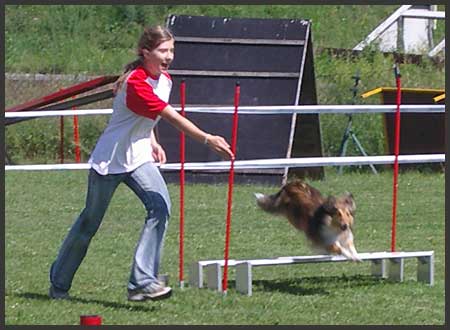 Agility Niki und Lilli - 