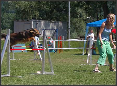 Agility Niki und Lilli - 