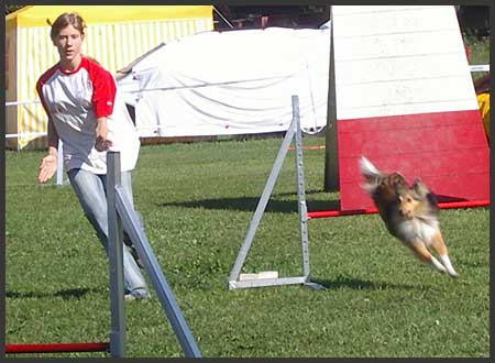 Agility Niki und Lilli - 