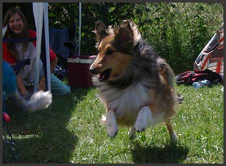 Agility Niki und Lilli - 