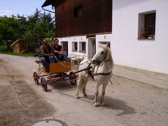 Meine Schazüüüs aus Tirol!!!! - 