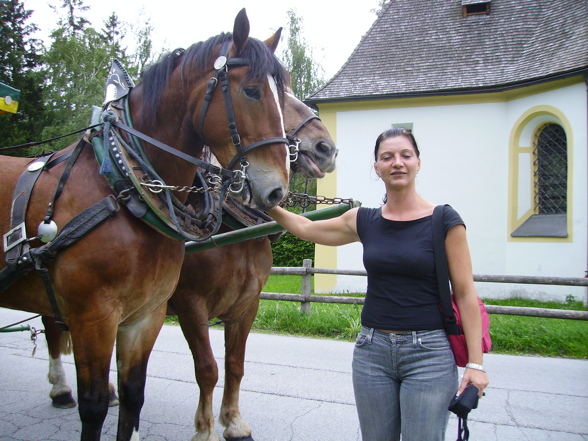 Meine Schazüüüs aus Tirol!!!! - 