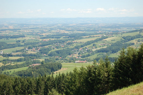 Ausflug Dambergwarte Steyr - 