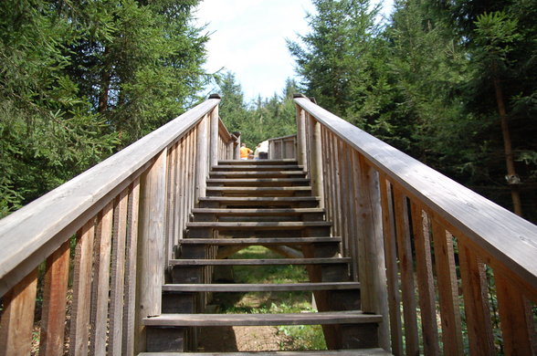 Baumkronenweg Kopfing 29.7.07 - 