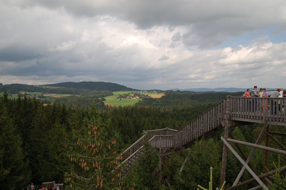 Baumkronenweg Kopfing 29.7.07 - 