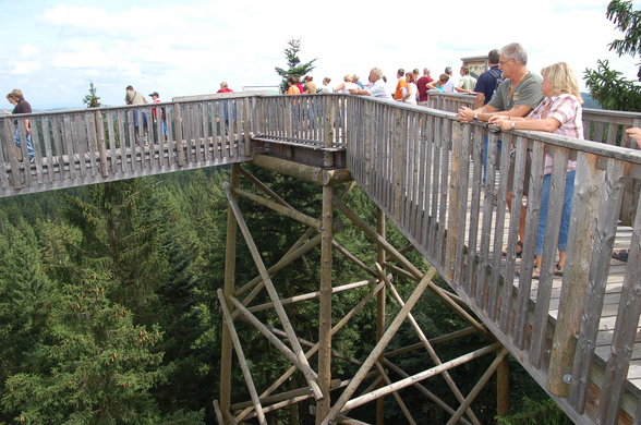 Baumkronenweg Kopfing 29.7.07 - 