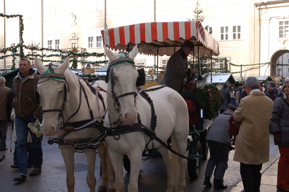 Ausflug Weihnachtsmarkt Salzburg - 