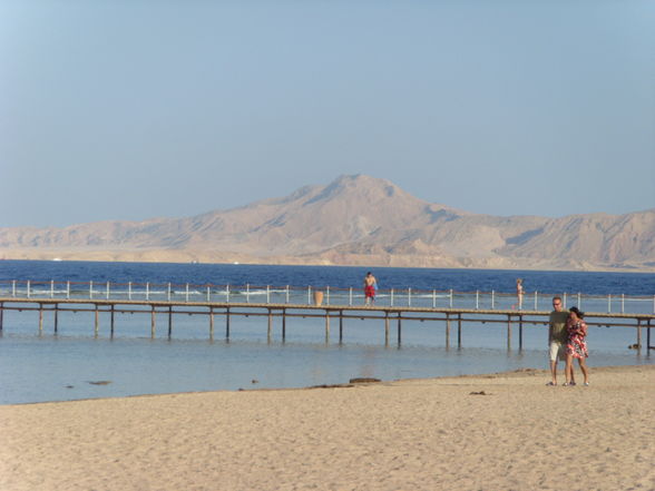 Sharm El Sheikh 2009 - 