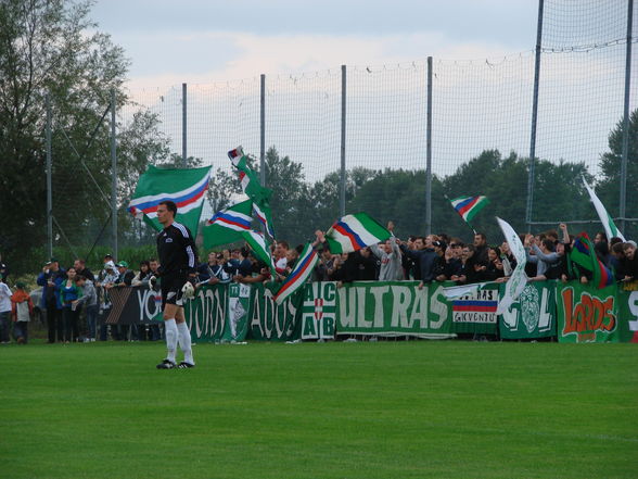 Testspiel von Rapid Wien - 