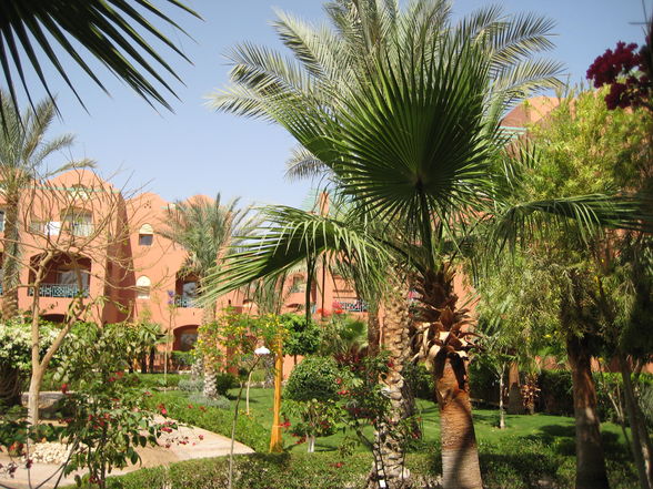 Sharm El Sheikh 2009 - 