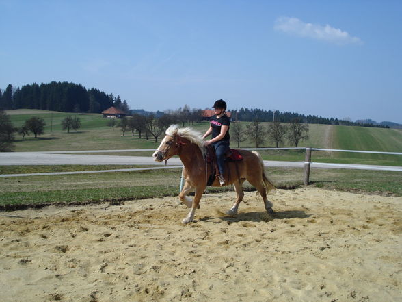 beim reiten - 