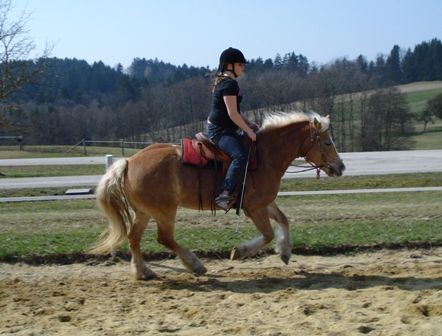 beim reiten - 