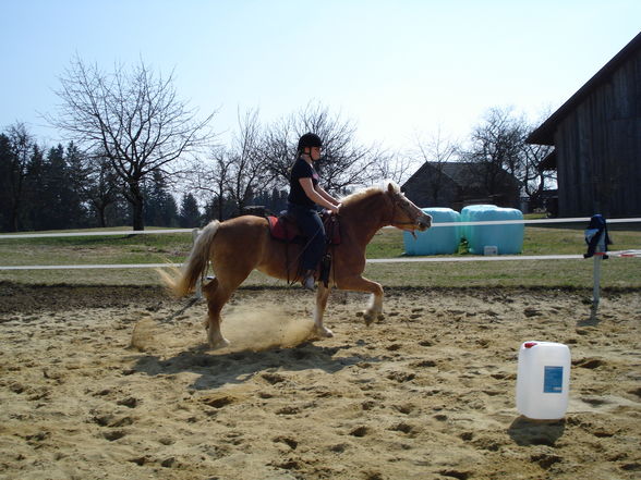 beim reiten - 