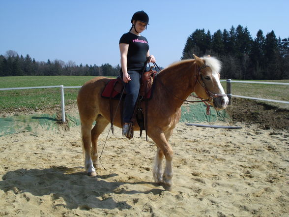 beim reiten - 