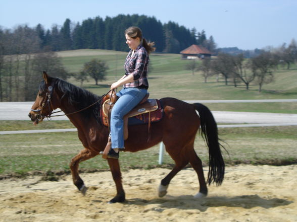 beim reiten - 