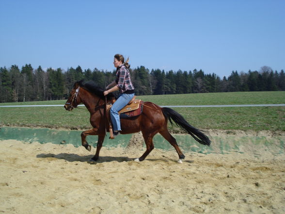 beim reiten - 