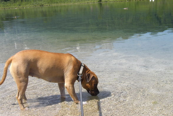 Almsee Grünau 22.06.08 - 