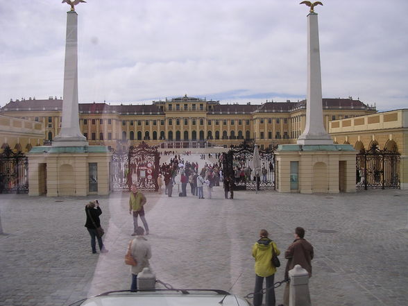 ein wunderschöner tag in wien - 