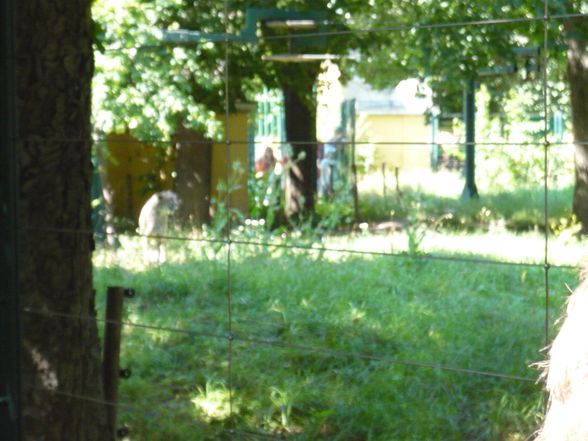 Schönbrunner Tierpark - 