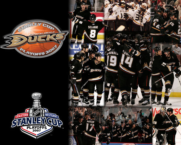 Anaheim Ducks - 