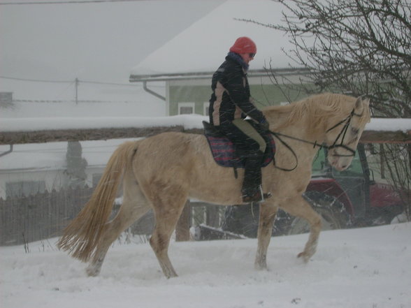 Der erste Schnee 07 - 