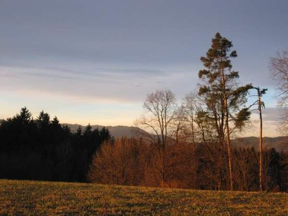 auf der pirsch! - 