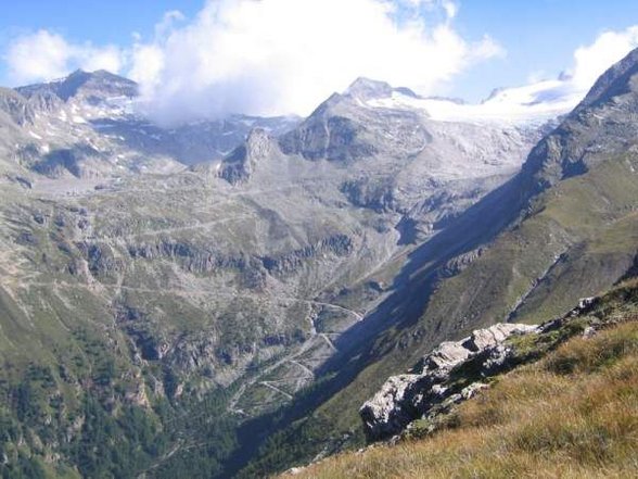 auf der pirsch! - 