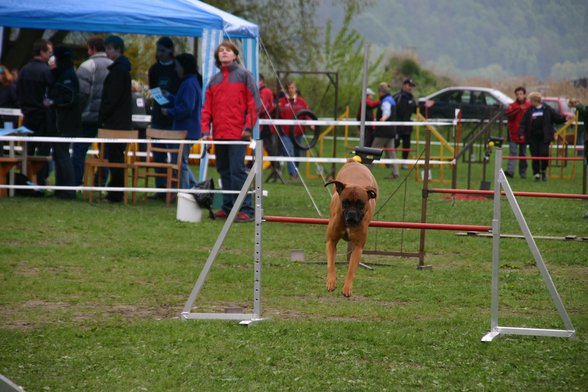 Agility - 