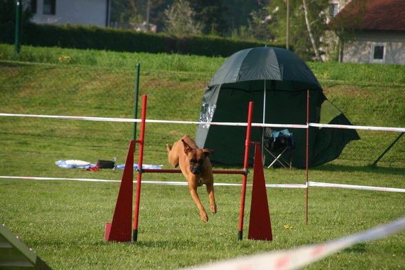 Agility - 