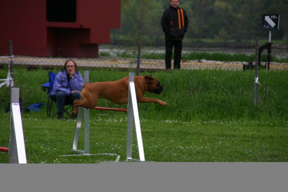 Agility - 