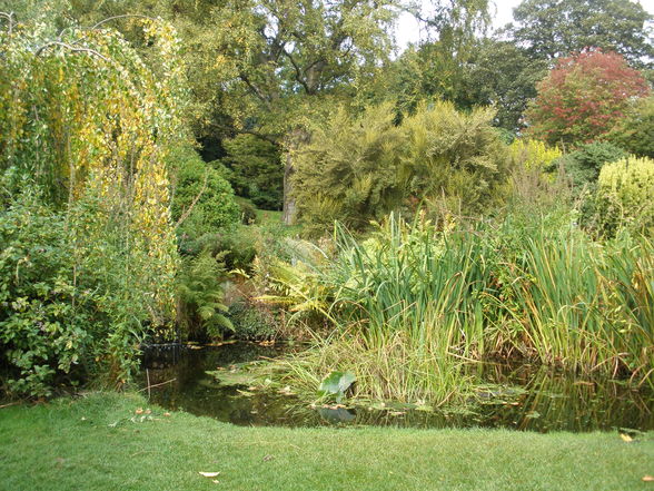 Botanischer Garten - 