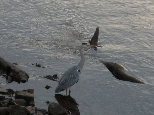 Schnee UND Strand?! schön und weird!!!! - 