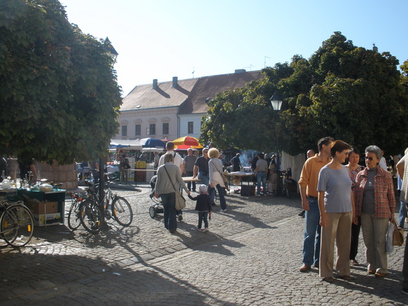 !!!NEU Osijek NEU!!! - 