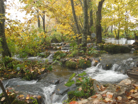 Plitvice Lakes - 