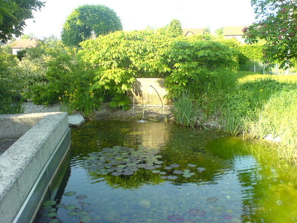  ein schaugarten - 