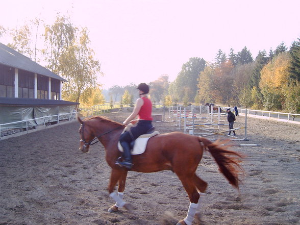 MEin Pferd Lenni und ich! - 