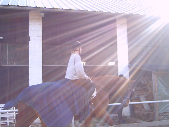 MEin Pferd Lenni und ich! - 