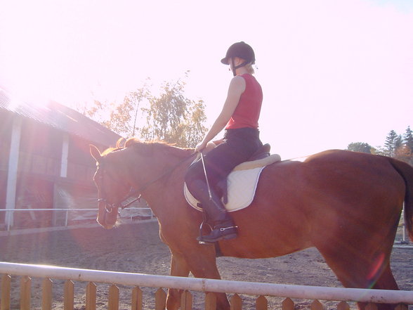 MEin Pferd Lenni und ich! - 