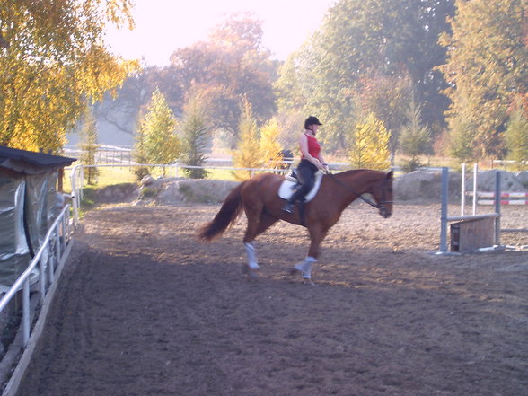 MEin Pferd Lenni und ich! - 